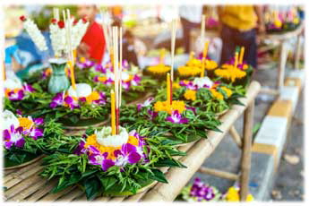 close-up-flowering-plants-m